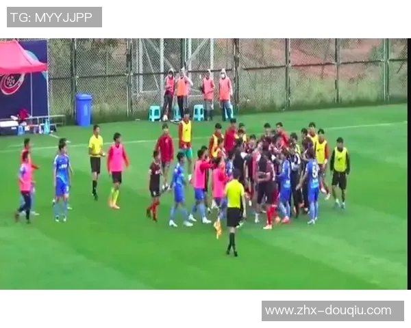 冰岛足球的崛起与挑战探索这片北欧小国的足球魅力与未来发展潜力